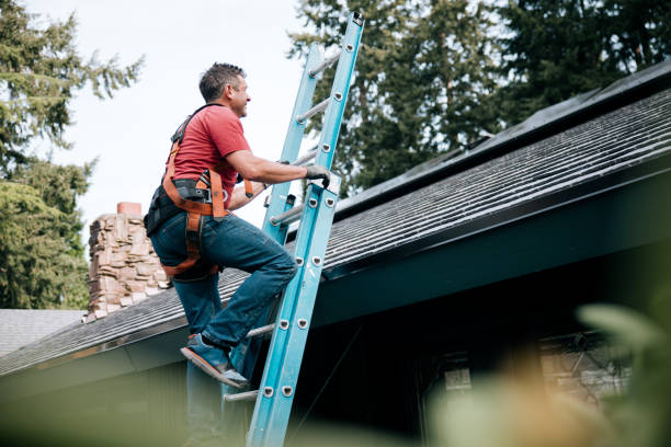 Best Metal Roofing Installation  in Delphi, IN